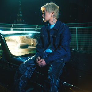 一龙双凤刘晓莉
