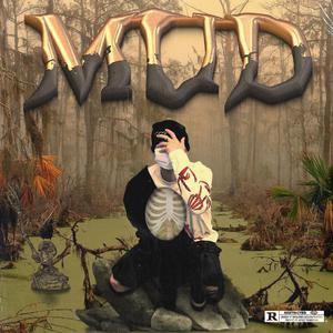 一龙双凤刘晓莉
