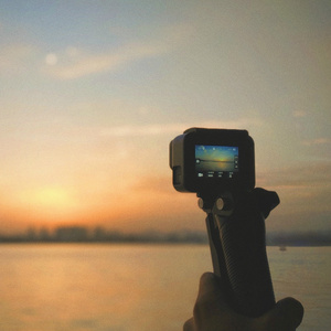 一龙双凤刘晓莉
