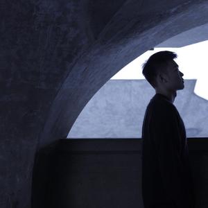 一龙双凤刘晓莉
