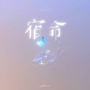 一龙双凤刘晓莉
