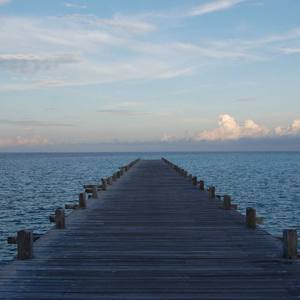 一龙双凤刘晓莉
