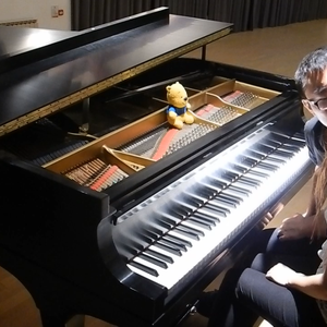 一龙双凤刘晓莉
